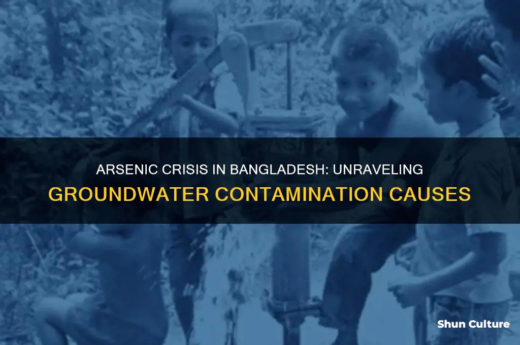 how did arsenic get in groundwater bangladesh
