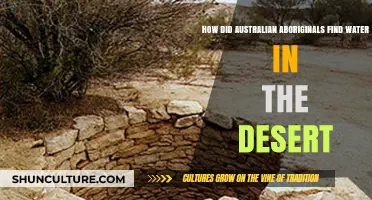 Aboriginal Water Wisdom: Desert Survival Secrets