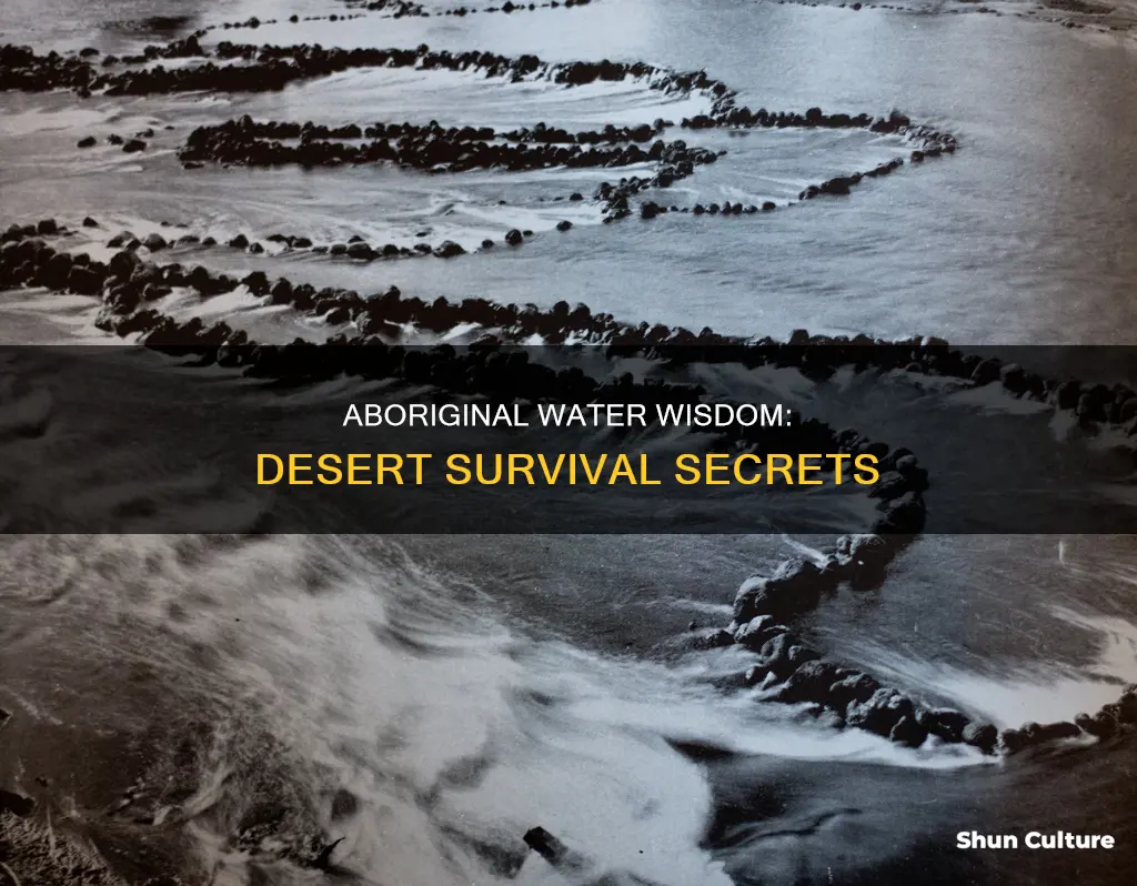 how did australian aboriginals find water in the desert