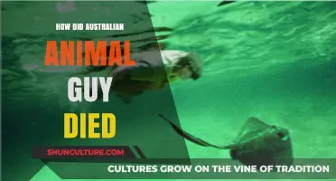 Australian Animal Guy: A Tragic End