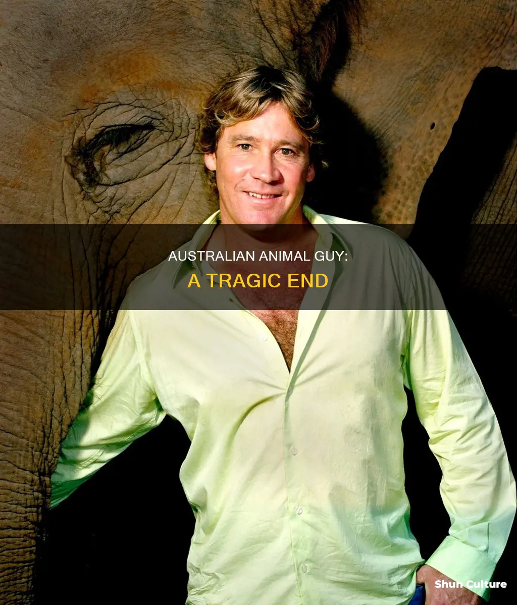 how did australian animal guy died