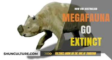 The Mysterious Disappearance of Australia's Ancient Megafauna: Causes Explored