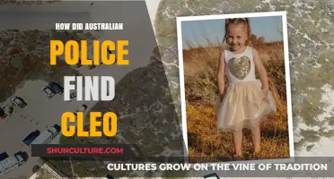 Finding Cleo: Police Strategies and Success