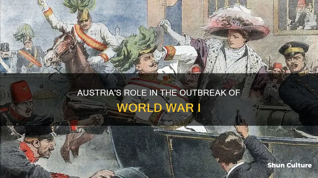 how did austria cause ww1