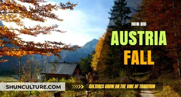 Austria's Fall: A Nation's Descent into Turmoil