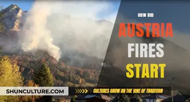 Austerian Forest Fires: Understanding the Spark and Spread