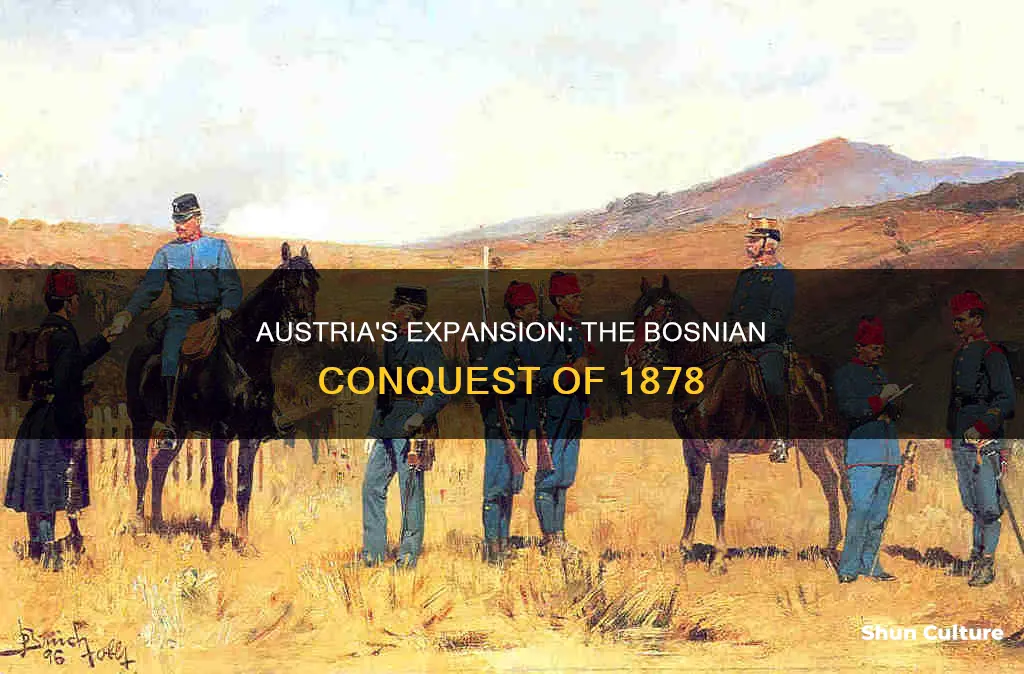 how did austria gain control of bosnia in 1878