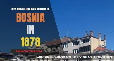 Austria's Annexation of Bosnia: 1878 Treaty Tactics