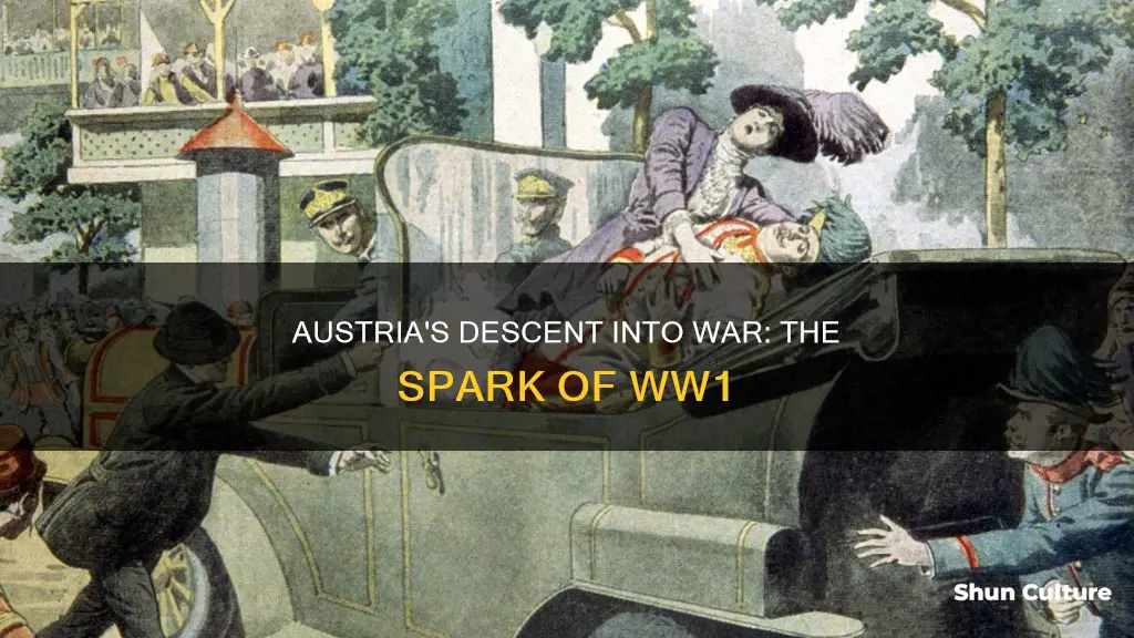 how did austria get involved into ww1