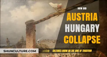 The Fall of Austria-Hungary: A Nation's Unraveling