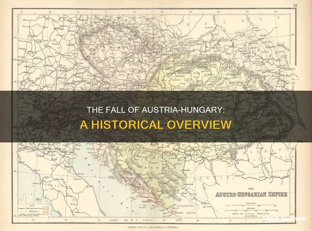 how did austria hungary empire all