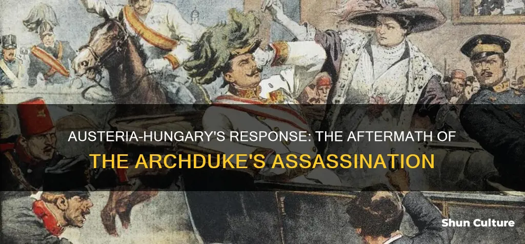 how did austria hungary react after the assassination