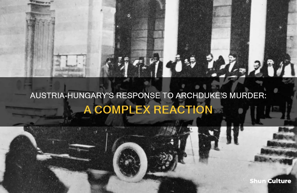 how did austria-hungary react to the murder of the archduke