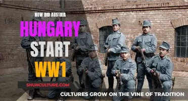 Austria-Hungary's Role in World War I's Start