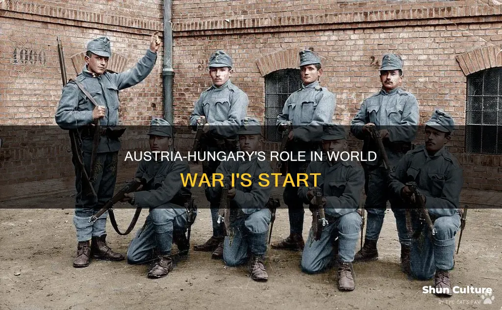 how did austria hungary start ww1