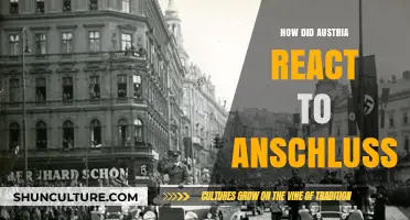 Austria's Resistance: The Fight Against the Anschluss