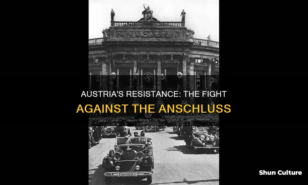 how did austria react to anschluss