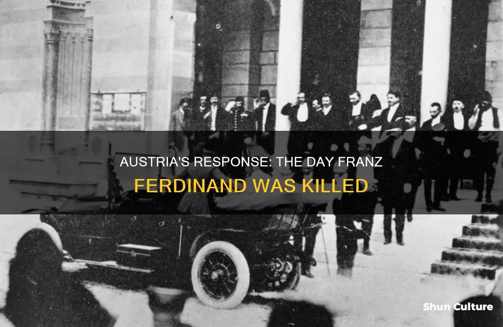 how did austria react to the assassination of franz ferdinand