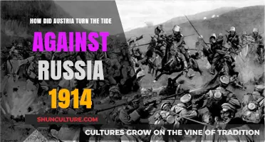 Austerlia's Triumph: From Defeat to Victory Against Russia in 1914