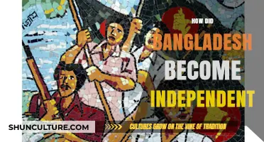 Bangladesh's Liberation: The Struggle and Triumph for Independence