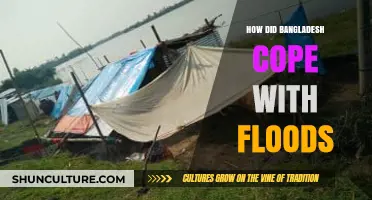 Bangladesh's Resilience: Strategies and Innovations in Flood Management