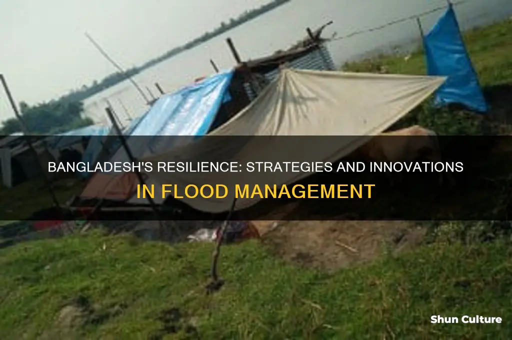 how did bangladesh cope with floods
