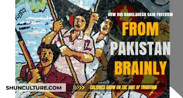 Bangladesh's Liberation: The Struggle for Independence from Pakistan Explained