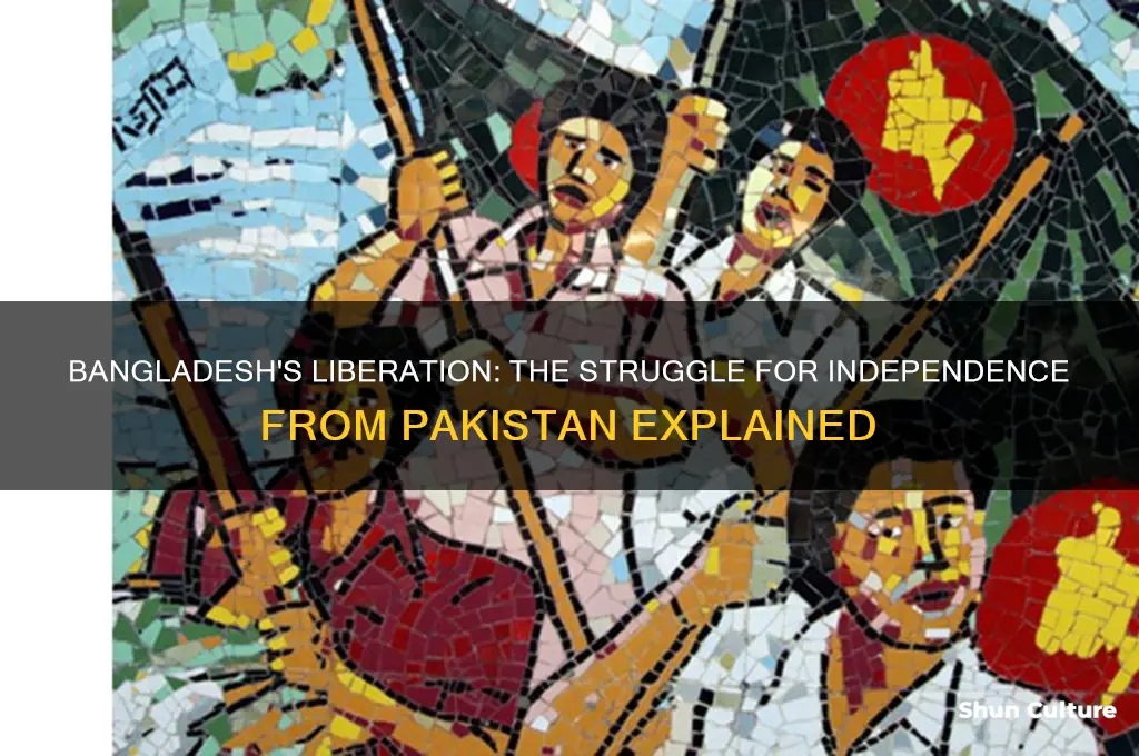 how did bangladesh gain freedom from pakistan brainly