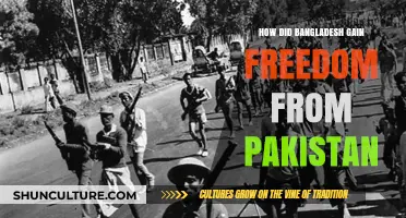 Bangladesh's Liberation: The Struggle for Independence from Pakistan