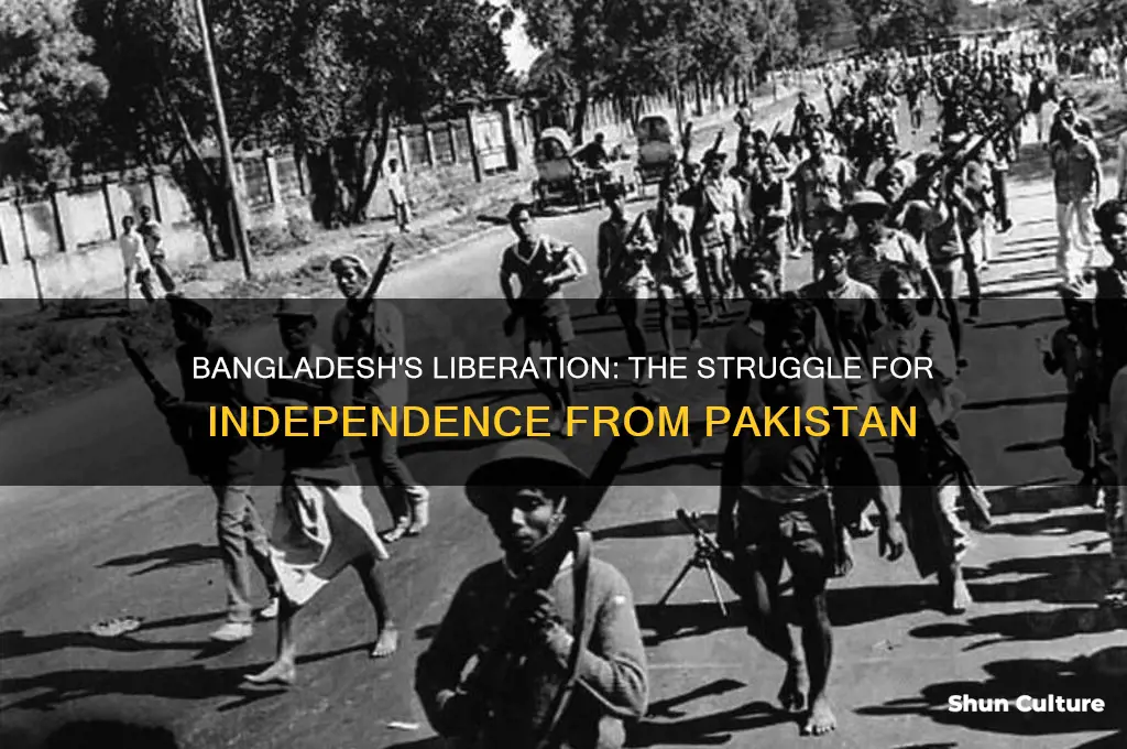 how did bangladesh gain freedom from pakistan