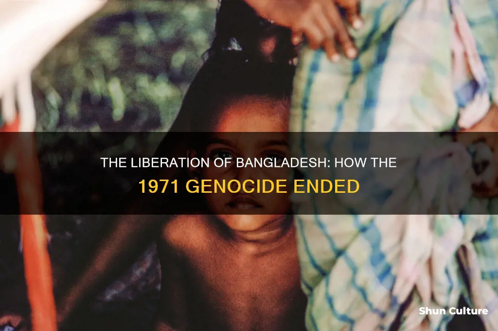 how did bangladesh genocide end