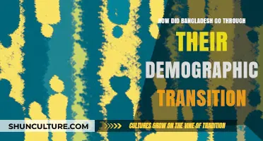 Bangladesh's Demographic Shift: A Journey Through Transition and Transformation