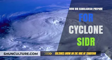 Cyclone Sidr: Bangladesh's Strategic Preparedness and Community Resilience