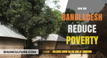 Bangladesh's Poverty Reduction Success: Strategies and Lessons Learned