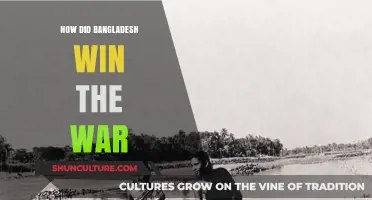 Bangladesh's Triumph: Unraveling the Strategies Behind the 1971 Liberation War Victory