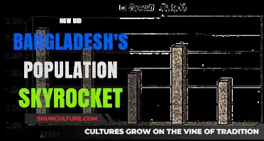 Bangladesh's Population Boom: Unraveling the Factors Behind Rapid Growth