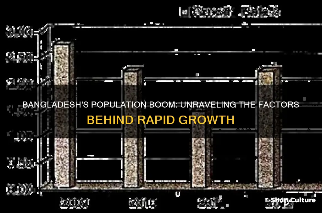 how did bangladesh