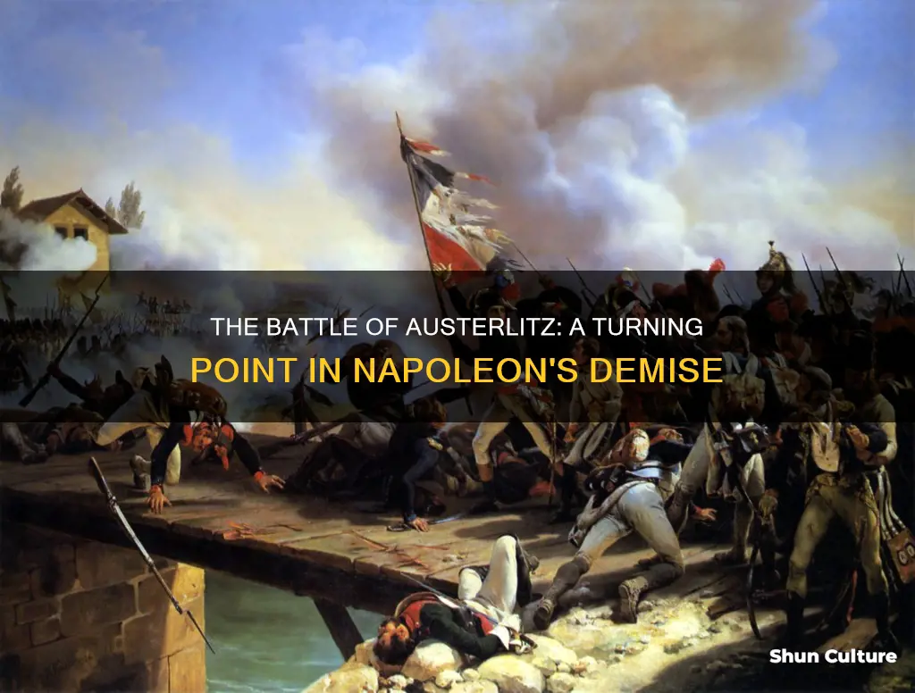 how did battle of austria event lead to napoleon downfall