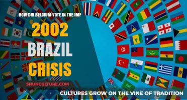 Belgium's IMF Vote During Brazil's 2002 Economic Crisis: Insights