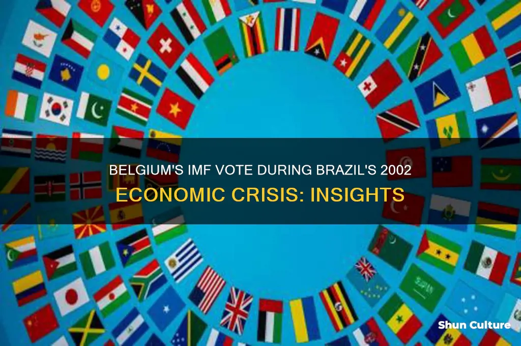 how did belgium vote in the imf 2002 brazil crisis