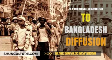 Bengali Language Diffusion: Historical Journey to Bangladesh Explained