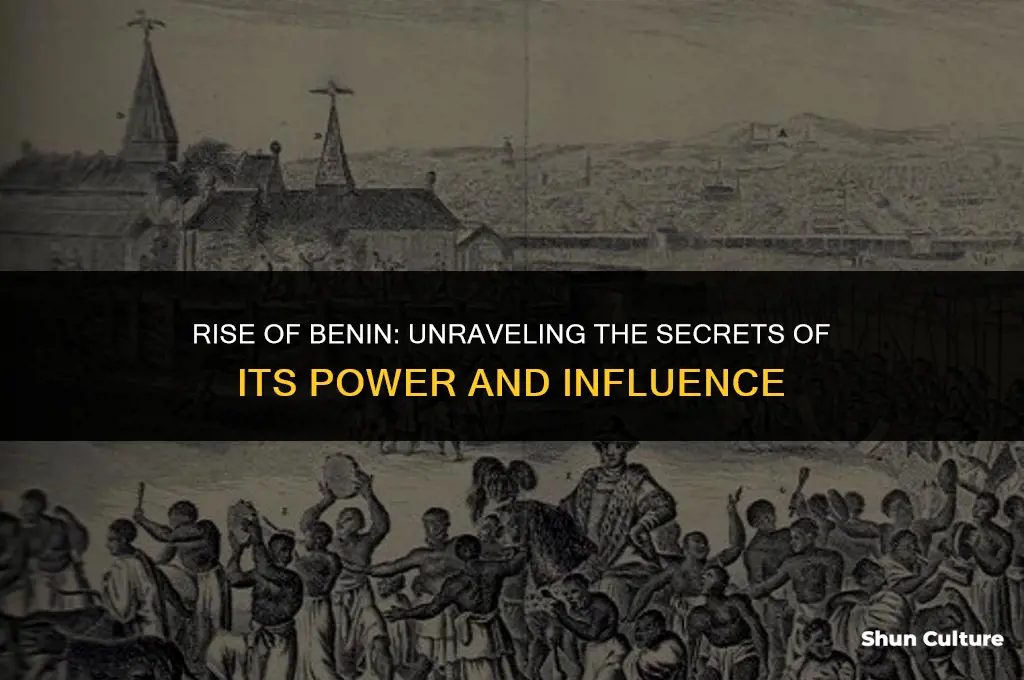 how did benin become powerful