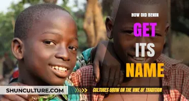 Unveiling the Origins: The Etymology of Benin's Name
