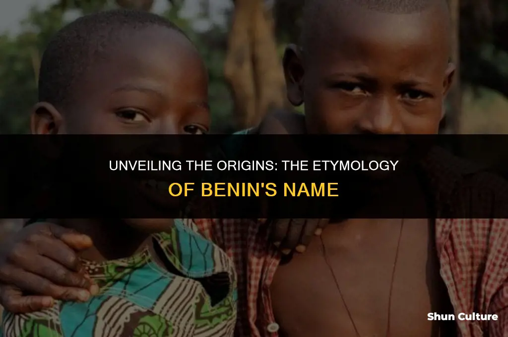 how did benin get its name