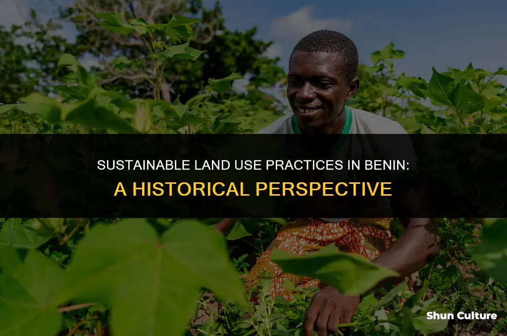 how did benin people use land