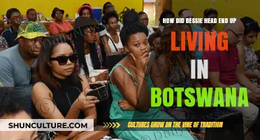 Bessie Head's Journey: From South Africa to Botswana Exile