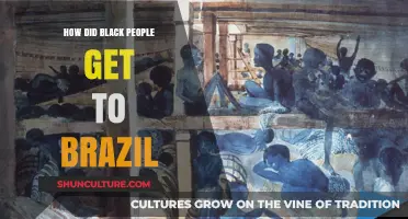 The Transatlantic Journey: How Black People Arrived in Brazil