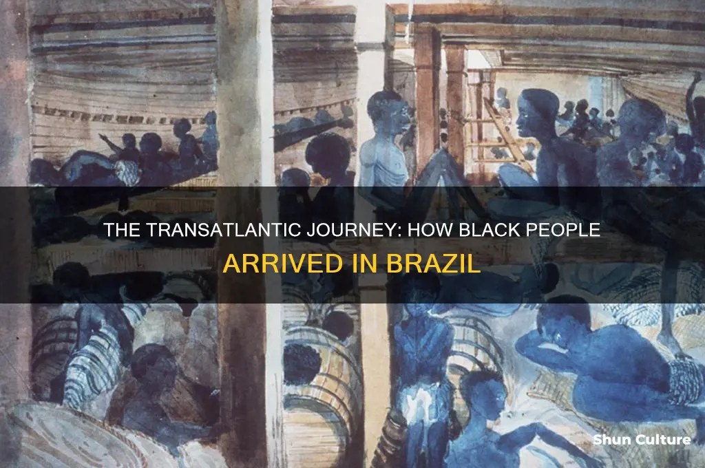 how did black people get to brazil