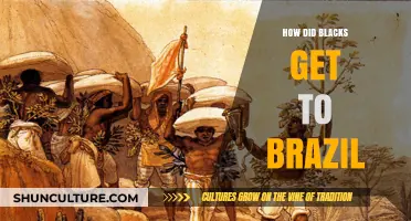 The Transatlantic Journey: How African Enslavement Shaped Brazil's History