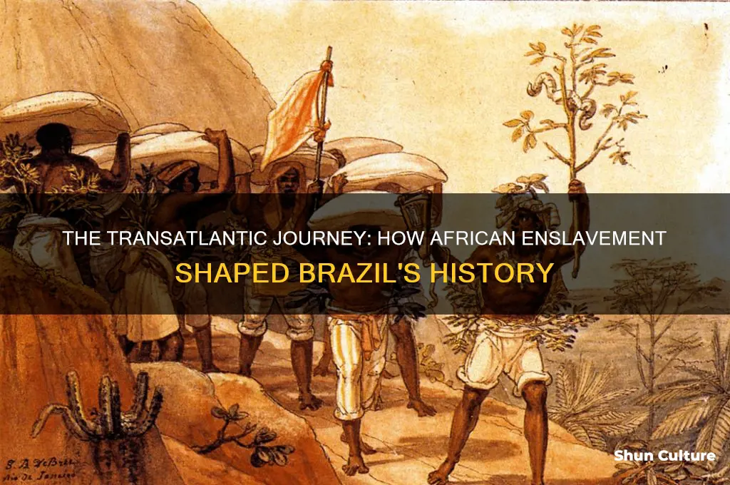 how did blacks get to brazil
